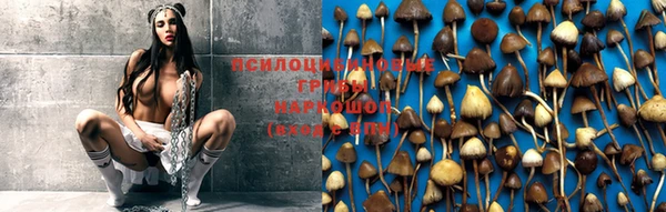герыч Вязники