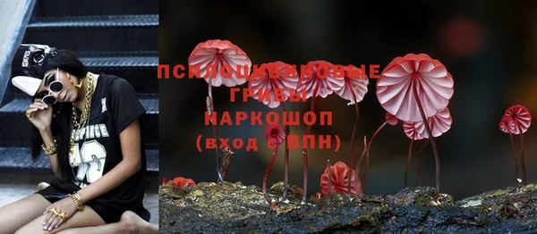 соль ск Володарск