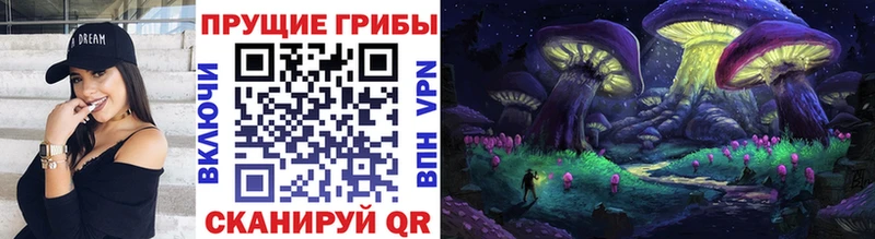 Галлюциногенные грибы Magic Shrooms  Купить где  Лысково 